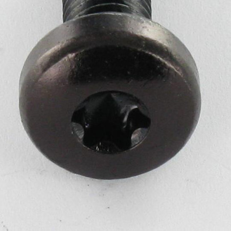 1 x Vis métaux tête cylindrique bombée large M4X16 TORX T20 Acier zingué noir