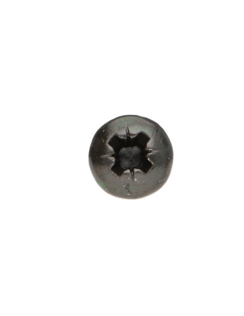 VBA Vis bois agglo Tête ronde TR Pozi N°1 3X15 Acier zingué noir microvis