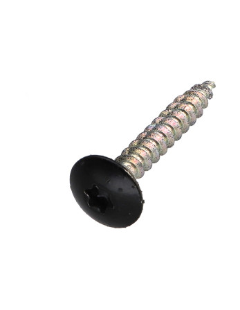 Vis Penture 4X30 Filetée sur 20 TORX T20 Acier zingué RAL9005 noir foncé 30%B