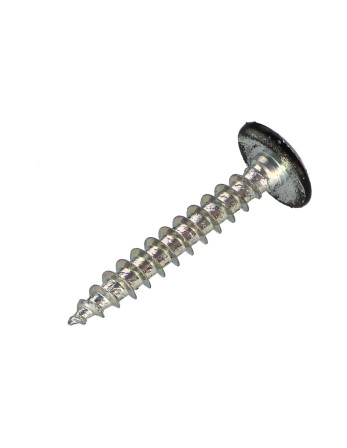 Vis Penture 4X30 Filetée sur 20 TORX T20 Acier zingué RAL9005 noir foncé 30%B