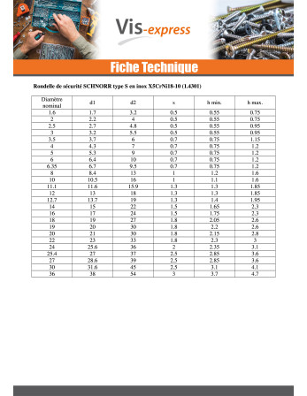 Rondelle SCHNORR VS M10X16X2 423100 Acier zingué