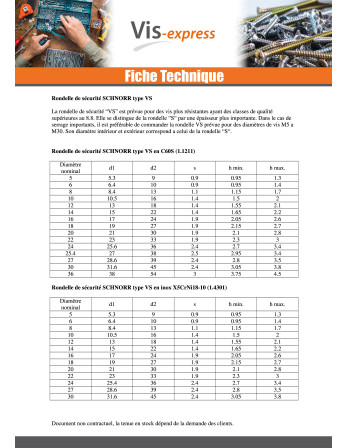 Rondelle SCHNORR VS M10X16X2 423100 Acier zingué