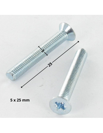 Vis métaux Tête fraisée Pozi N°2 M5X25 Acier zingué