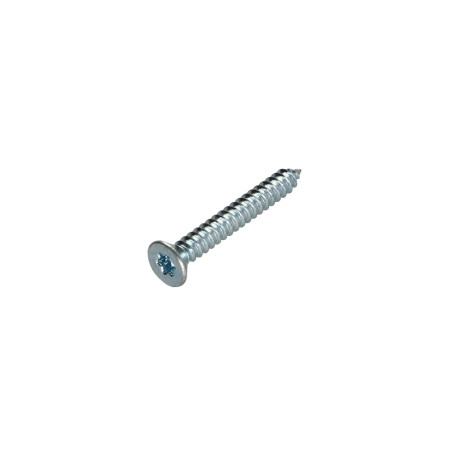 1 x Vis tôle Tête fraisée TORX T8 2.9X13 Acier zingué