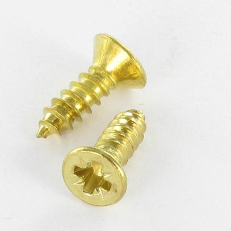 1 x Vis tôle Tête fraisée Pozi 3.9X13 Acier laitonne