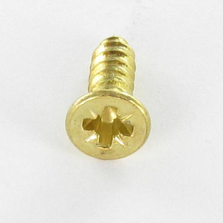 1 x Vis tôle Tête fraisée Pozi 3.9X13 Acier laitonne