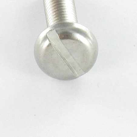 1 x Vis métaux Tête cylindrique large TCL Fendue M6X16 Acier chrome
