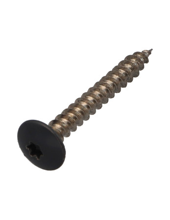 Vis Penture 5X40 Filetage total TORX T20 Acier zingué RAL7015 gris ardoise