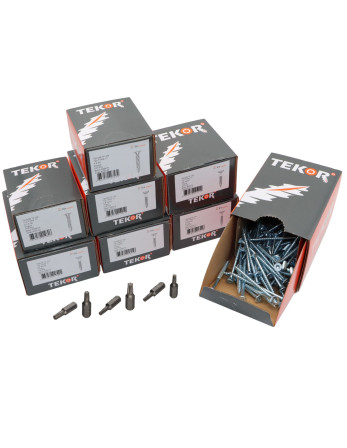 TEKOR PACK PRO 1200 Vis Tête fraisée Cranté TORX Acier zingué