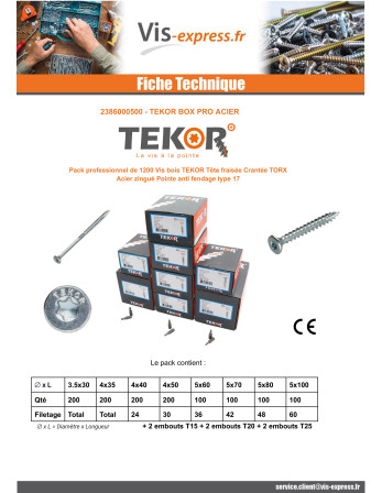 TEKOR PACK PRO 1200 Vis Tête fraisée Cranté TORX Acier zingué