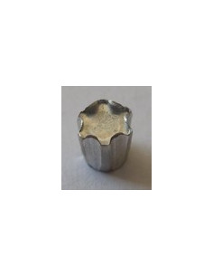 ELEMENT ANTI-INTRUSION TORX T40 Acier zingué