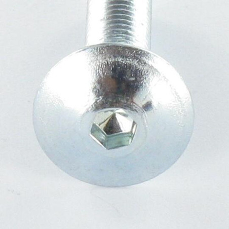 1 x Vis Poelier M6X55 Clé de 4 HC4 Acier zingué