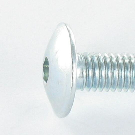 1 x Vis Poelier M5X20 Clé de 3 HC3 Acier zingué