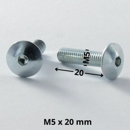 1 x Vis Poelier M5X20 Clé de 3 HC3 Acier zingué