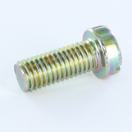 1 x Vis métaux Tête cylindrique TC Fendue M6X50 Bichromaté