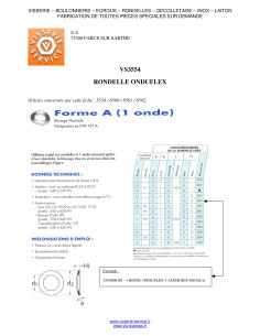 Rondelle ONDUFLEX M16 Acier brut Type B 2 Ondes 2