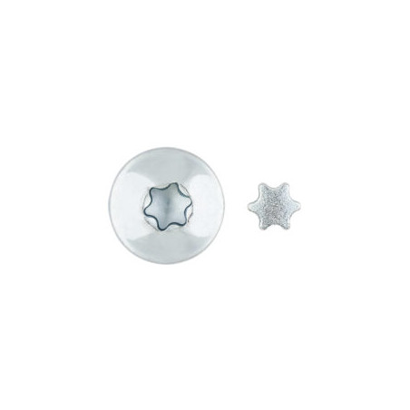 1 x Vis Penture Inviolable 2 pièces TORX T40 7X70 Acier zingué
