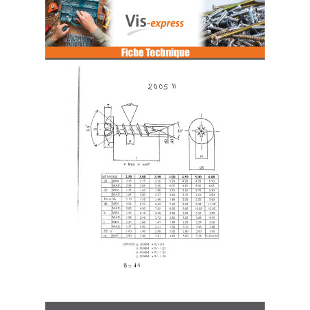 1 x VBA Vis bois agglo Tête ronde TR Pozi N°2 5X50 Bichromaté