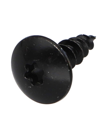 Vis Penture 5X16 Filetage total TORX T20 Acier zingué noir