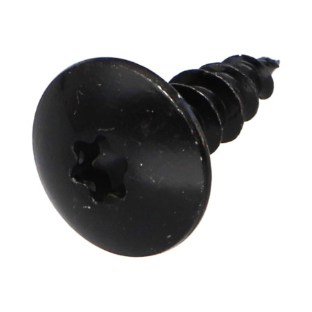 1 x Vis Penture 5X16 Filetage total TORX T20 Acier zingué noir