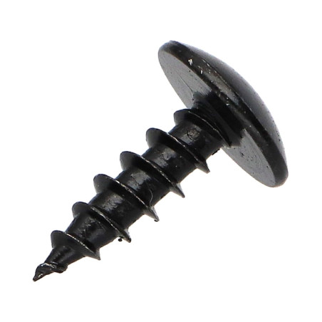 1 x Vis Penture 5X16 Filetage total TORX T20 Acier zingué noir