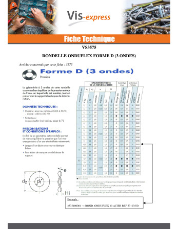 Rondelle ONDUFLEX M10X19X0.20 Type D 3 Ondes