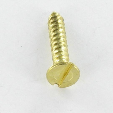 1 x Vis tôle Tête fraisée Fendue 2.9X16 Acier laitonne