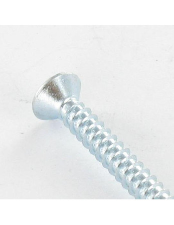 Vis tôle Tête fraisée Pozi 4.2X13 Acier zingué