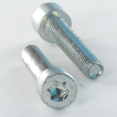 1 x Vis autotaraudeuse Tête cylindrique TC M4X25 TORX T20 Acier zingué