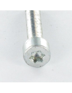 Vis autotaraudeuse Tête cylindrique TC M4X25 TORX T20... 2