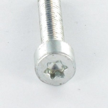 1 x Vis autotaraudeuse Tête cylindrique TC M4X25 TORX T20 Acier zingué