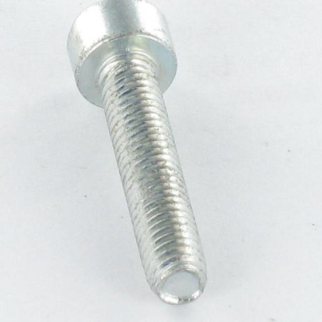 1 x Vis autotaraudeuse Tête cylindrique TC M4X25 TORX T20 Acier zingué
