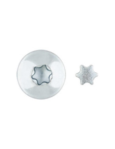 Vis Penture Inviolable 2 pièces TORX T40 7X60 Acier zingué 2