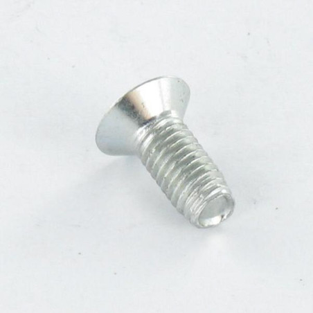 1 x Vis autotaraudeuse Tête fraisée M5X30 TORX T25 Acier zingué