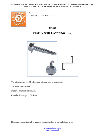 FASTOVIS Tête hexagonale TH 4.8X19 Acier zingué