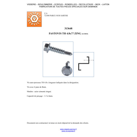 1 x FASTOVIS Tête hexagonale TH 4.8X19 Acier zingué
