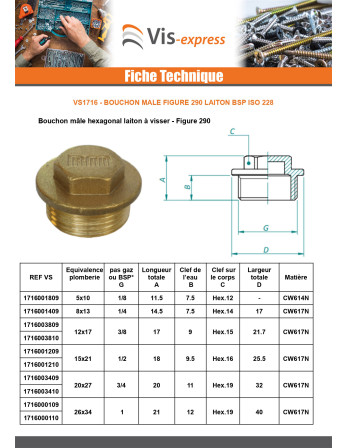 Bouchon mâle Figure 290 8x13 (1/4") Laiton
