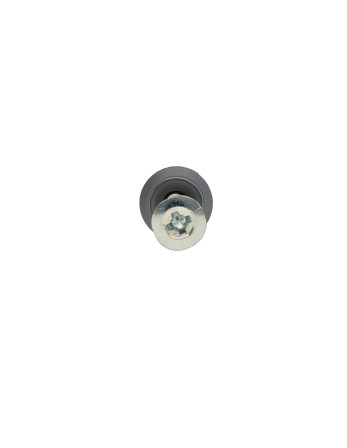 Cheville Clou Vis RAWLPLUG Tête plate Large 6X40