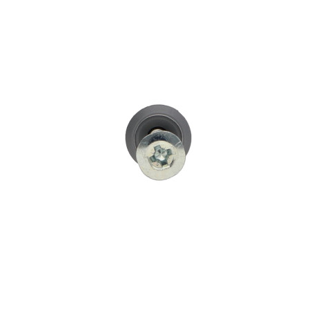 1 x Cheville Clou Vis RAWLPLUG Tête plate Large 6X40