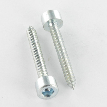 1 x Vis tôle CHC BTR Clé de 5 HC5 6.3X25 Acier zingué