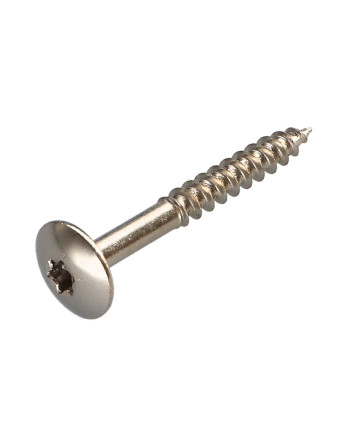 Vis Penture 4X30 Filetée sur 20 TORX T20 Acier nickelé