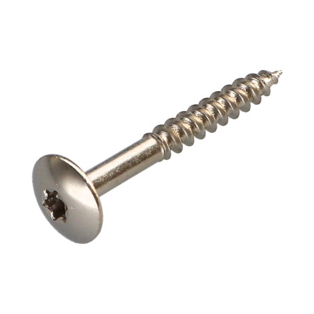 1 x Vis Penture 4X30 Filetée sur 20 TORX T20 Acier nickelé