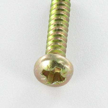 1 x Vis tôle tête cylindrique bombée large Pozi 3.5X19 Bichromaté Sans pointe