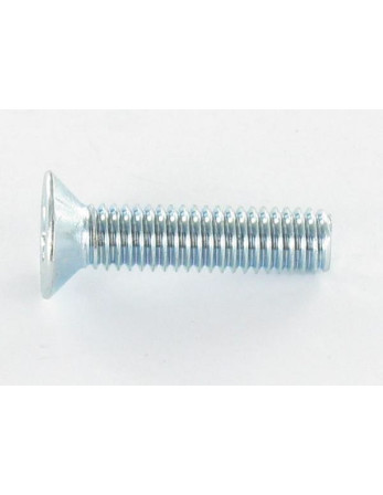 Vis métaux Tête fraisée TORX T30 M6X25 Acier zingué