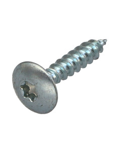 Vis Penture 6X35 Filetage partiel TORX T30 Acier zingué