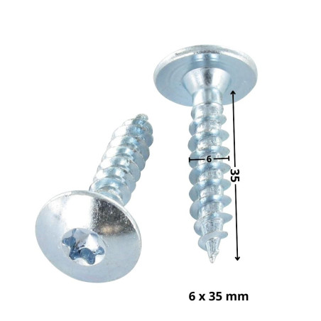 1 x Vis Penture 6X35 Filetage partiel TORX T30 Acier zingué