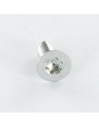 Vis autotaraudeuse Tête fraisée M5X20 TORX T25 Acier zingué