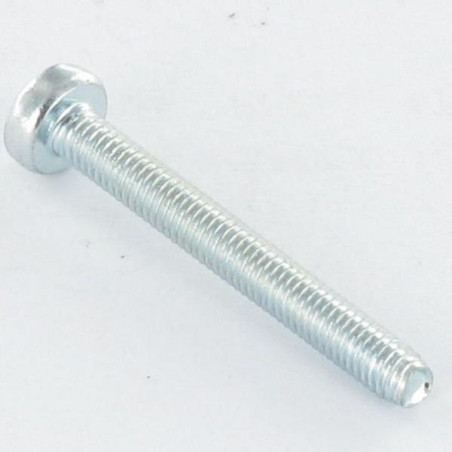 1 x Vis autotaraudeuse tête cylindrique bombée large M6X16 Pozi N°3 Acier zingué