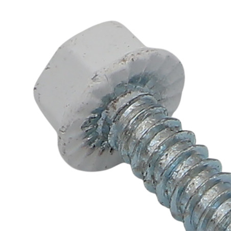 1 x Vis autoperceuse Tête hexagonale TH 4.2X13 Filet tôle Acier zingué RAL9010 blanc pur