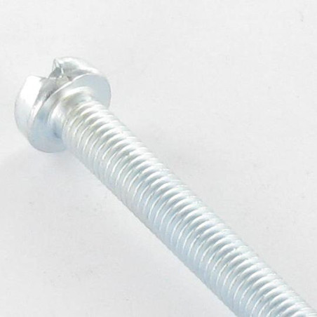 1 x Vis métaux Tête cylindrique TC Fendue M4X10 Acier zingué